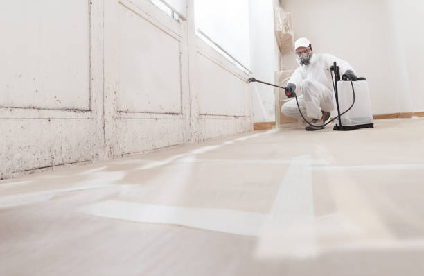 24/7 Emergency Mold Remediation experts in Marshall, MN